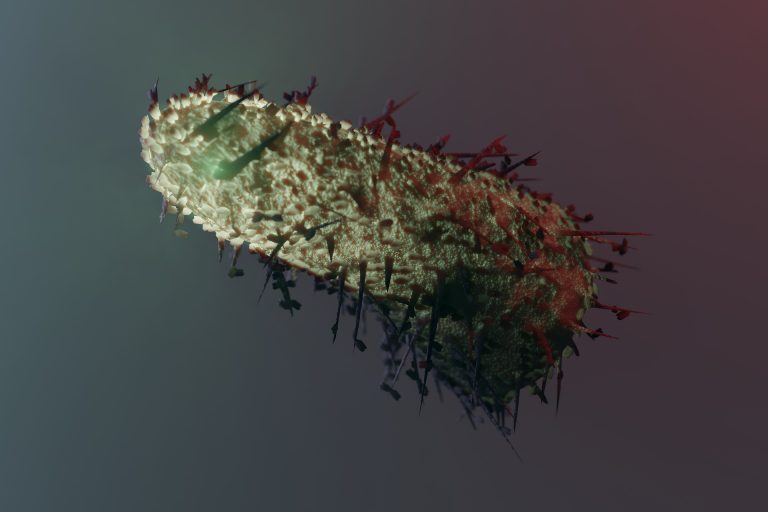 Some important points about rabies.